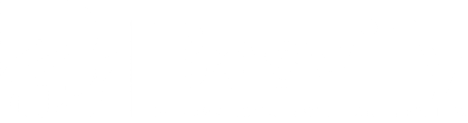 basvify-footer-logo